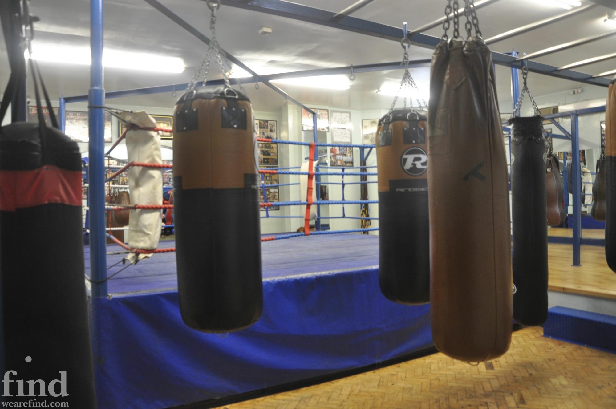 Places with punching bags on sale